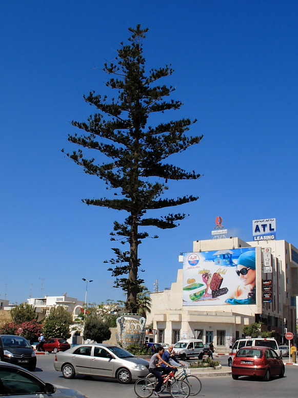Nabeul - Fotka 04