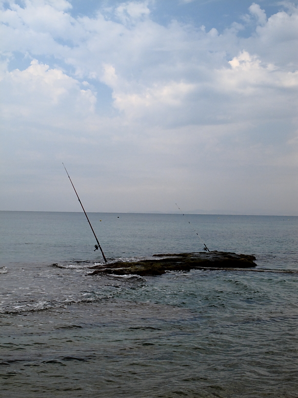 Nabeul - Fotka 28