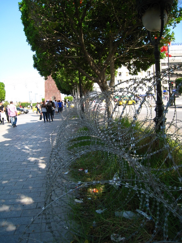 Tunis - Fotka 35
