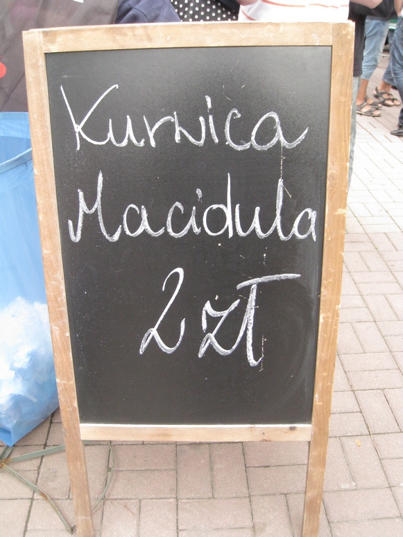 TydzieĹ Kultury Beskidzkiej 2011 - Fotka 20