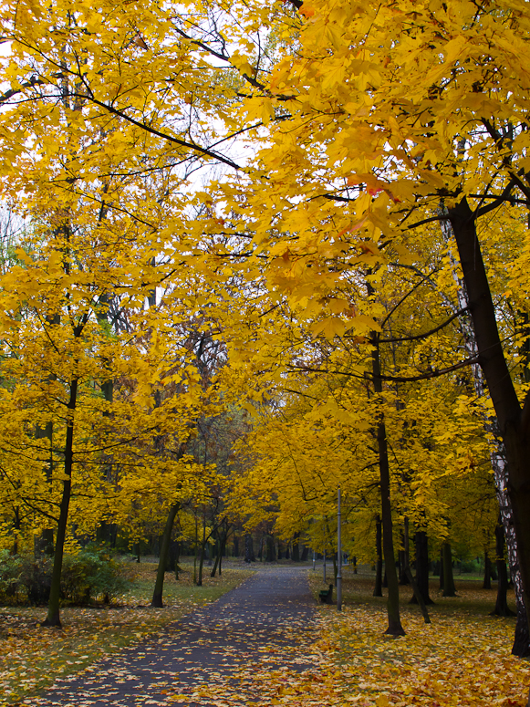 Park im. Tadeusza KoĹciuszki - Fotka 04