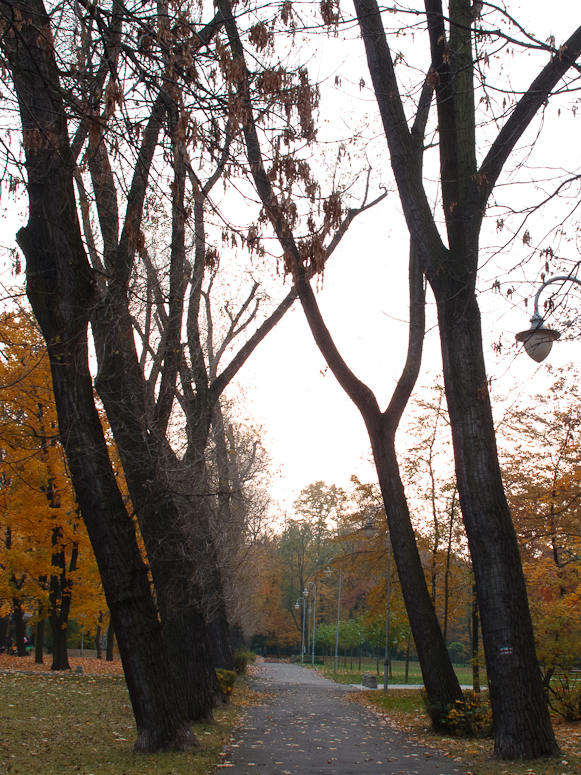 Park im. Tadeusza KoĹciuszki - Fotka 05