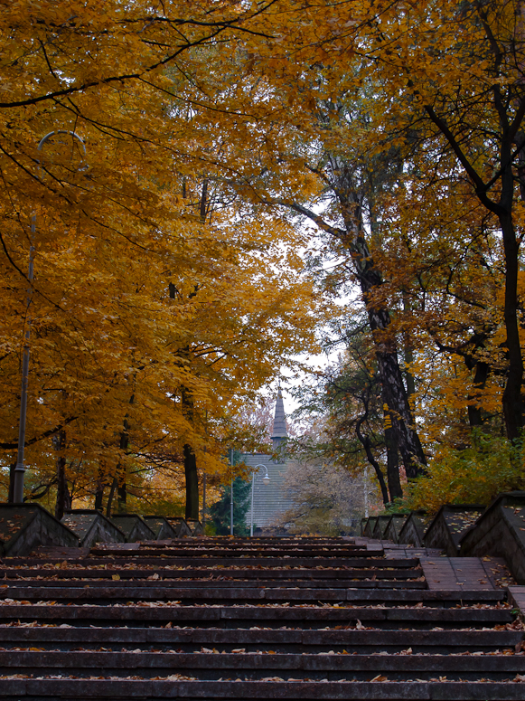 Park im. Tadeusza KoĹciuszki - Fotka 13
