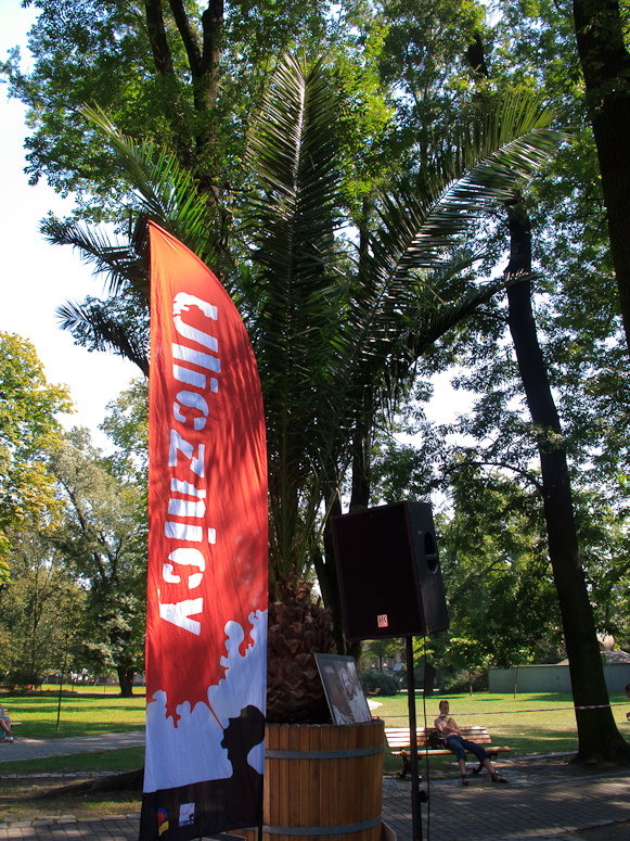 Ulicznicy 2011 - Glinoludy - Fotka 01