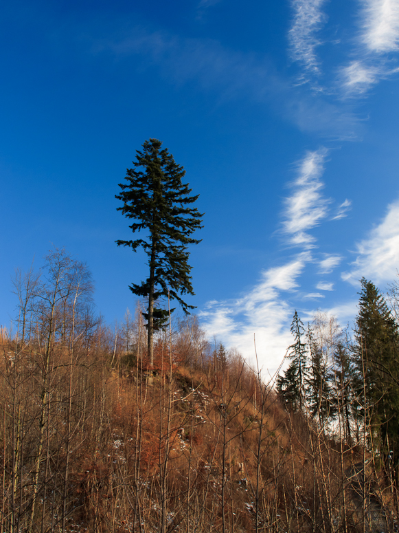 WisĹa - Fotka 19