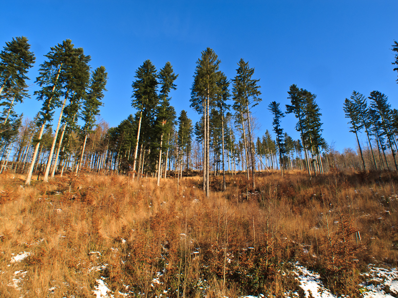 WisĹa - Fotka 28